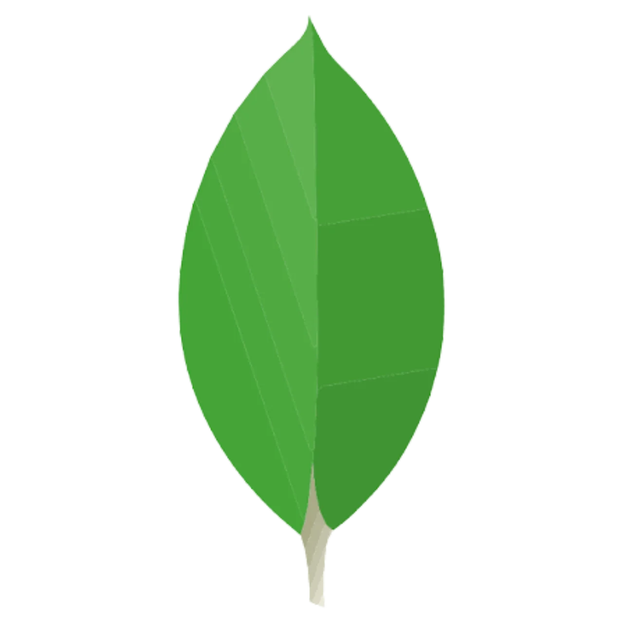 MongoDB